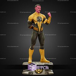 Sinestro Power Museum Pose 1 6 STL Files
