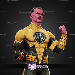 Sinestro Power Museum Pose 1 6 STL Files