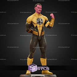 Sinestro Power Museum Pose 1 6 STL Files