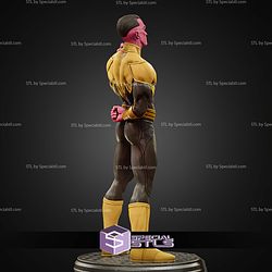 Sinestro Power Museum Pose 1 6 STL Files