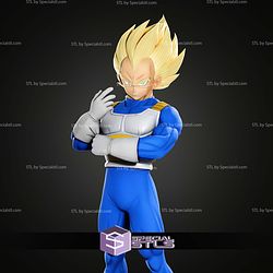 Vegeta The Z Warriors STL Files