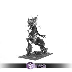 Miao Ying the Storm Dragon Strange Dark Place Miniatures