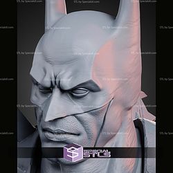 Absolute Batman The Unstoppable Dark Knight 410mm STL Files