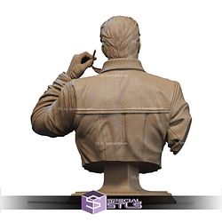 Albert Wesker Mastermind Bust STL Files