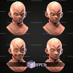 Avatar Aang Bust STL Files