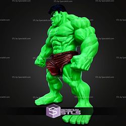 Basic STL Hulk No Ams