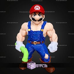 Basic STL Muscle Mario No Ams