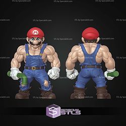 Basic STL Muscle Mario No Ams
