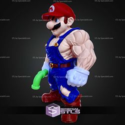 Basic STL Muscle Mario No Ams