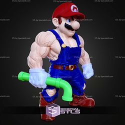 Basic STL Muscle Mario No Ams