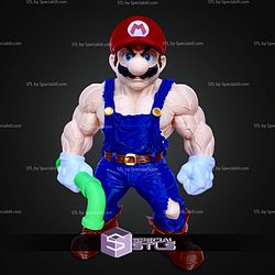 Basic STL Muscle Mario No Ams