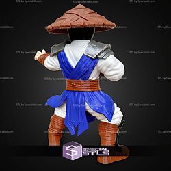 Basic STL Raiden No Ams