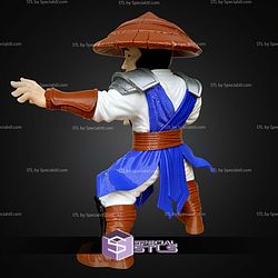 Basic STL Raiden No Ams