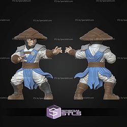 Basic STL Raiden No Ams