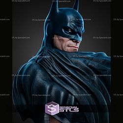 Batman Kingdom Come Portrait Bust 357mm STL Files
