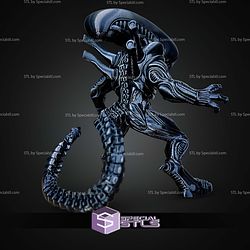 Basic STL Xenomorph No Ams