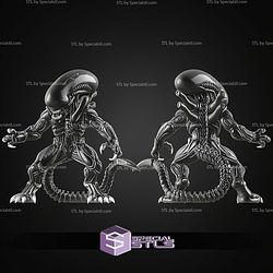 Basic STL Xenomorph No Ams