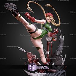Cammy Kick 251mm STL Files