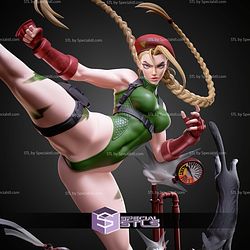 Cammy Kick 251mm STL Files