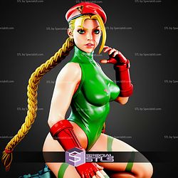 Cammy Posing On Knee STL Files