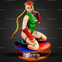 Cammy Posing On Knee STL Files