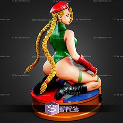 Cammy Posing On Knee STL Files