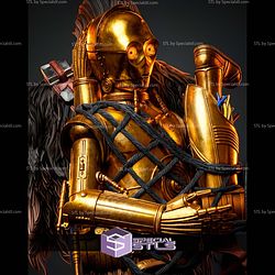 Chewbacca And C3P0 450mm STL Files