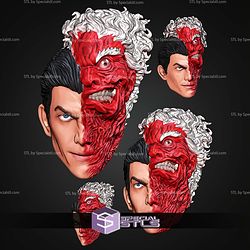 Custom Head STL Collection Two Face