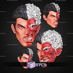 Custom Head STL Collection Two Face
