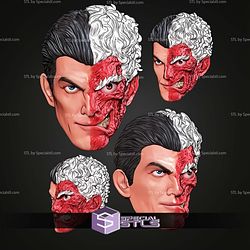 Custom Head STL Collection Two Face