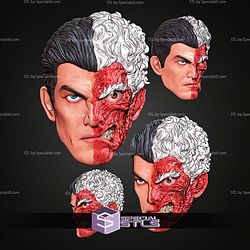 Custom Head STL Collection Two Face