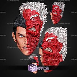 Custom Head STL Collection Two Face