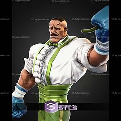 Dudley Street Fighter 286mm STL Files