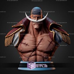 Edward Newgate Whitebeard Bust STL Files