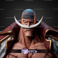 Edward Newgate Whitebeard Bust STL Files