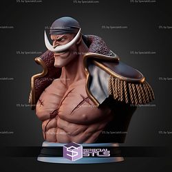 Edward Newgate Whitebeard Bust STL Files