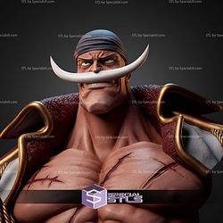 Edward Newgate Whitebeard Bust STL Files