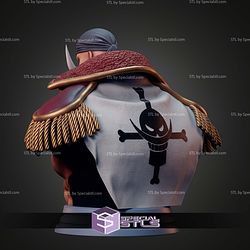Edward Newgate Whitebeard Bust STL Files