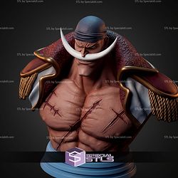 Edward Newgate Whitebeard Bust STL Files