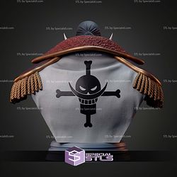 Edward Newgate Whitebeard Bust STL Files