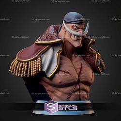 Edward Newgate Whitebeard Bust STL Files
