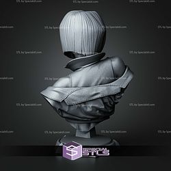 Faye Cowboy Bebop Bust 116mm STL Files