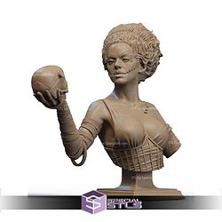 Frankenstein Bride And Skull Bust STL Files