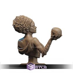 Frankenstein Bride And Skull Bust STL Files