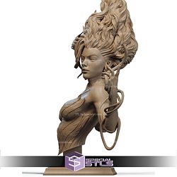 Gaia Goddess Fanart Bust STL Files