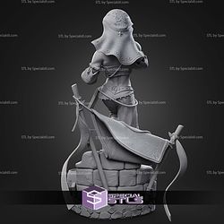 Gerudo Link 233mm STL Files