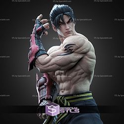 Jin Kazama Tekken 310mm STL Files