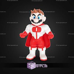 Omni Man Mario No AMS STL Files