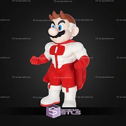 Omni Man Mario No AMS STL Files