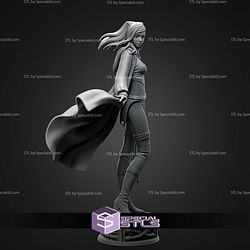 Re L Mayer From Ergo Proxy 245mm STL Files